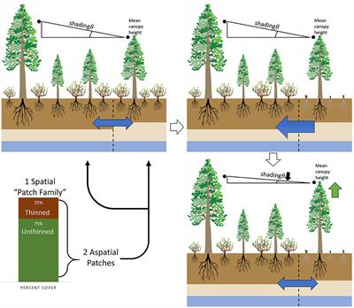 Frontiers | Understanding How Fuel Treatments Interact With Climate And ...